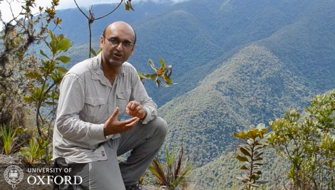 Rainforest biodiversity