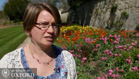 Botanic Garden's chemicals